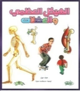 الهيكل العظمي والعضلات