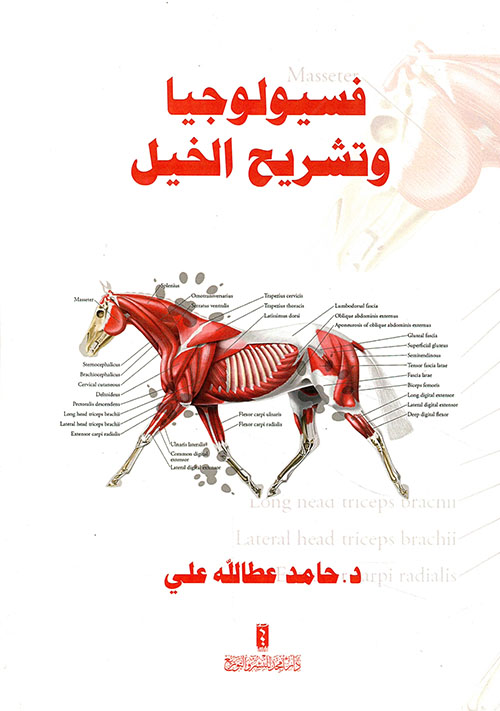 فسيولوجيا وتشريح الخيل