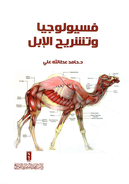 فسيولوجيا وتشريح الإبل