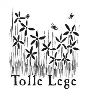 الدرجات (الطبعات)